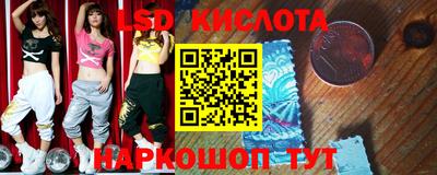 крисы Гатчина