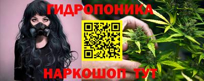 крисы Гатчина