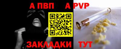 крисы Гатчина