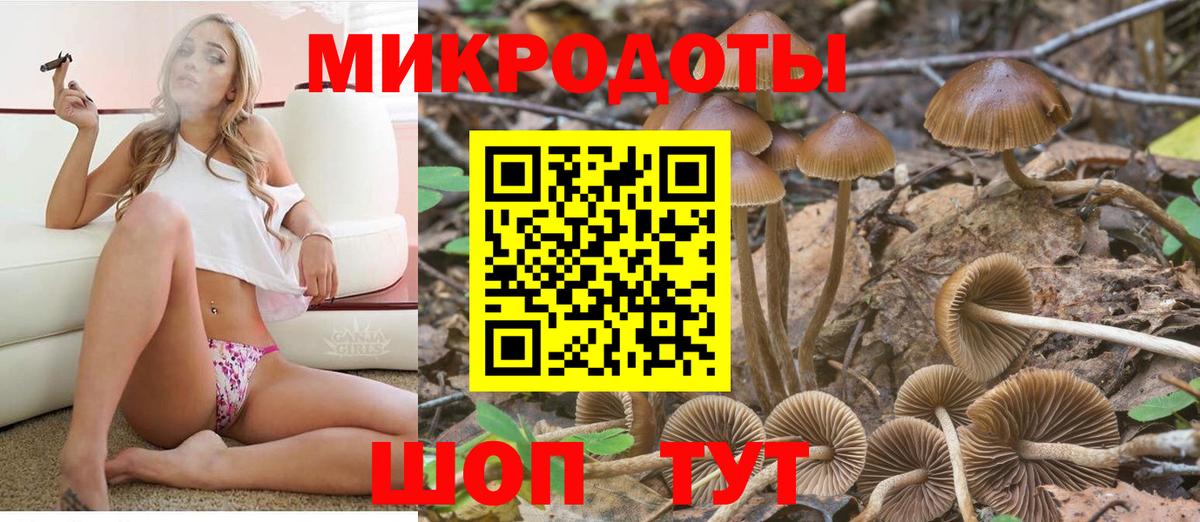 Воткинск  Галлюциногенные грибы GOLDEN TEACHER  Вход с VPN 